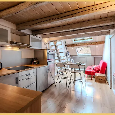 Le Refuge Du Chateau I Apartment Annecy